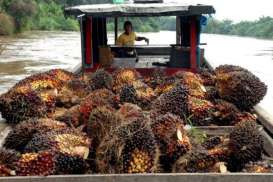 3.019 Petani Plasma Cargill Raih Sertifikat RSPO